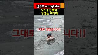 5초의 선택이 생명을 구하다 #강아지 #강아지감동스토리 #반려견 #유기견 #구조이야기