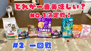 一番美味しいキャットフード決定戦 #2 第一回戦　【ノルウェージャンフォレストキャットと三毛猫】