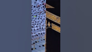 ﴿الْحَجُّ أَشْهُرٌ مَّعْلُومَاتٌ﴾ #القرآن_الكريم #القارئ_وديع_اليمني #سورة_البقرة