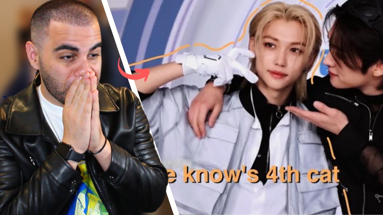 FELIX BEING LEE KNOW'S FOURTH CAT...THIS IS ADORABLE!