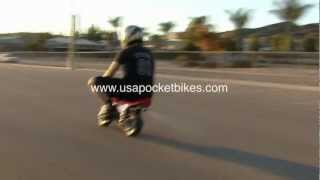 Cag Minibike - Mini Pocket Bikes, minibikes, pocketbikes, mini bikes - 47cc 2-stroke