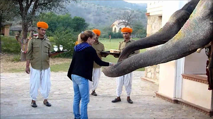 Feeding the Elephants: Sherma and Steven Pinkert i...