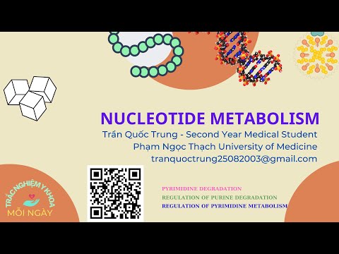 Video: Các nucleotide pyrimidine là gì?