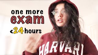 What I did (and how I studied) 24hrs before my medical school finals | EXAM DAY VLOG