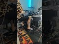 Crossfaith - Tears Fall (cover drum)