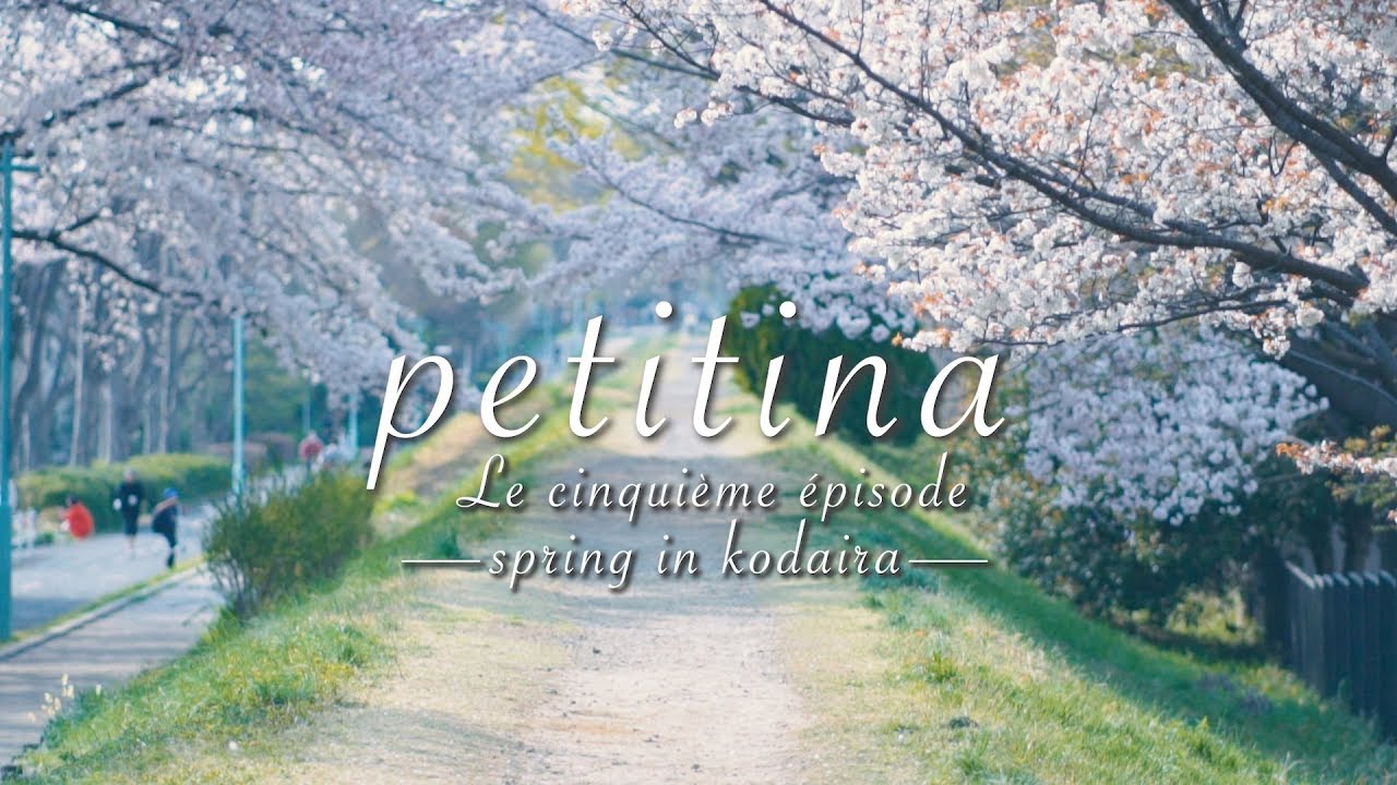 Petitina Le Episode Cinquieme ー Early Spring In Kodaira ー 東京都小平市 春の 小平グリーンロード Youtube