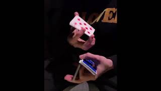 Tobias Levin Best Cardistry Combo (Uncut)