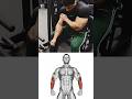 Forearm of Steel | Ultimate Grip & Strength Workout #sports #youtubeshorts #ytshorts #youtube #viral