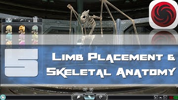 SPORE TUTORIAL SERIES: #5: Limb placement and Skeletal Anatomy (collab with Salooverall)