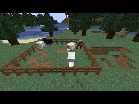 Finally more sheep : Minecraft Survival 1.14.4 #4 - YouTube