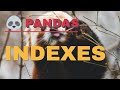pandas index | pandas in python for beginners