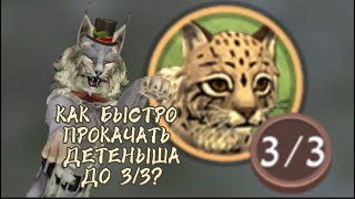 Как быстро прокачать детёныша до 3/3🐆Ч.О