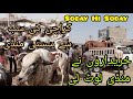 Sasti Mandi Malir Mandi | Soday Hi Soday | Sale Lag Gae | Munasbib Qeematon Me Soday | Legends Craze