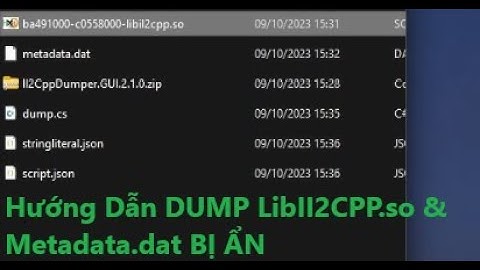Hướng Dẫn Dump LibIl2cpp.so Protecd (P3)