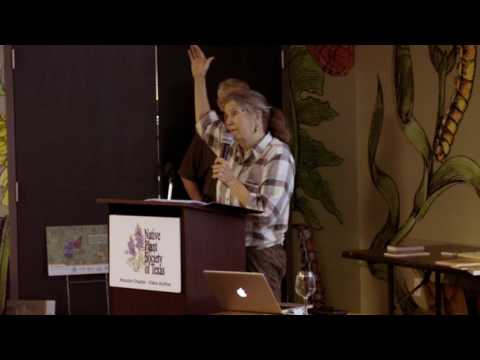 Videó: Mi az a Thália növény: Információ a porszerű thalia növényekről