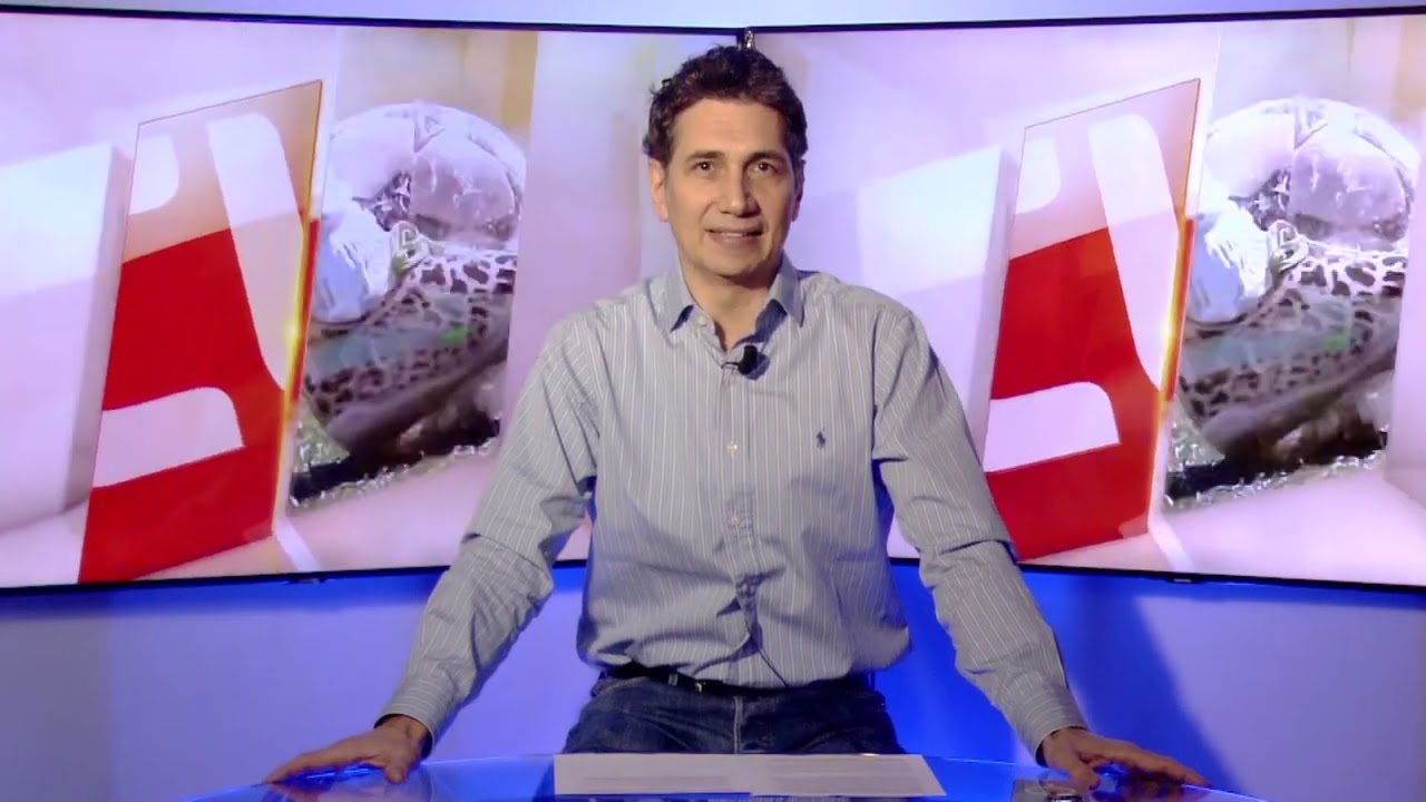 FOCUS CULTURA - PUNTATA DEL 22/01/2026