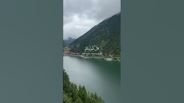 صوت يريح القلوب للقارئ اسلام صبحي☘️🍃سورة المؤمنون ☘️#قرآن #قران_كريم #explore #اكسبلور #fyp #الله