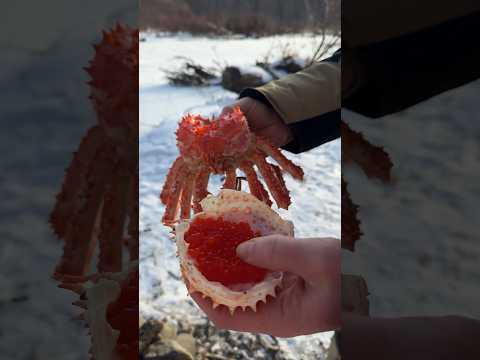 На западе мечтать о таком только , Приморский край как мы ловим краба