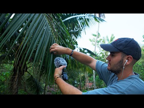 ASMR in the JUNGLE 🌴 *relaxing sounds*