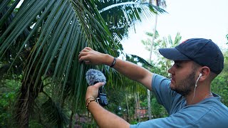 ASMR in the JUNGLE 🌴 *relaxing sounds*