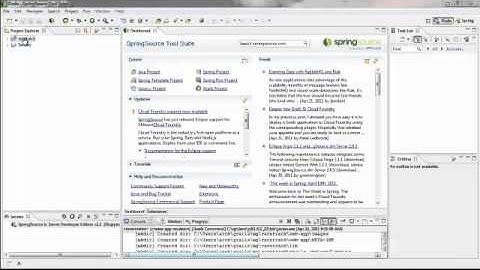 BCS STS Create Grails Application
