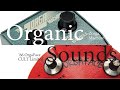CULT × Organic Sounds / '66 Orga Face CULT Limited & Zorga Machine