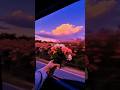 Love Me Like You Do Ellie Goulding Lyrics Aesthetic Whatsapp Status English Songs Slowed Love Me Like You Do Ellie Goulding Lyrics Aesthetic Whatsapp Status English Songs Slowed