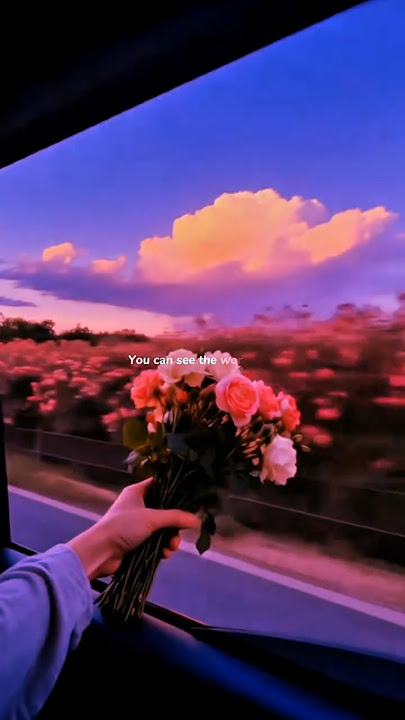 Love Me Like You Do - Ellie Goulding | lyrics | aesthetic| Whatsapp status | English songs |slowed