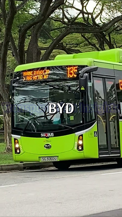 Various Brands of City Buses in Singapore #bus #sgbus #sbs #smrt #gasg #ttsg #singaporebus