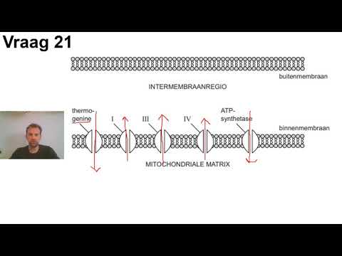 Videobepreking CSE 2018 I vragen 20 tm 26