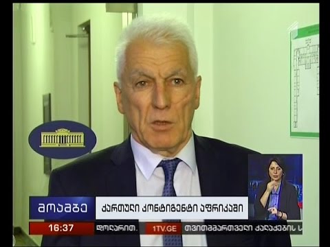 ცენტრალურ აფრიკაში ქართული კონტინგენტის მოცულობა, შესაძლოა, გაიზარდოს