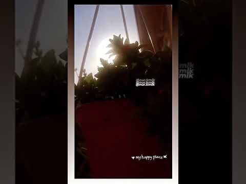 Cem Tuncer Ercument Orkut Arabesk