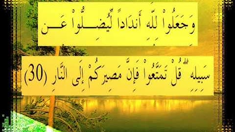 القرآن الكريم سورة إبراهيم الأية 30 قراءة السديس