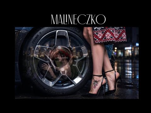 ✔️ MALINECZKO (long) - antartlife 💔❤️/Nowa Polska Muzyka 2026 | Top Hity