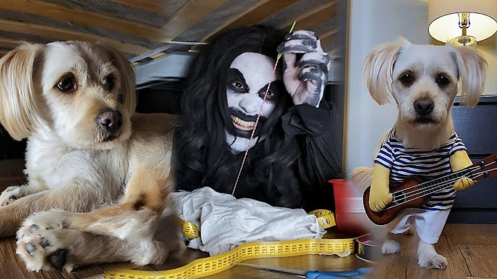 Monster makes a costume for my dog 🐶