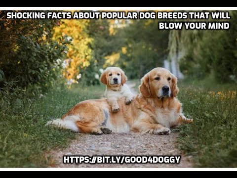 Shocking Mugshot Statistics That Will Blow Your Mind - 7h5nrvh