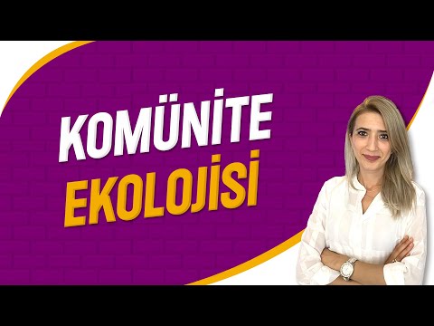 Komünite Ekolojisi | Seda Hoca Biyoloji ( 20. Ders ) #sedahocabiyoloji #ayt2023