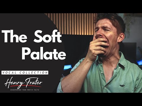 The Soft Palate (Vocal Tutorial)