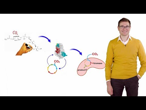 Synthetic Biology: Realizing synthetic carbon dioxide fixation - Tobias Erb