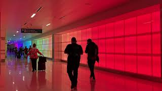 FLL's Public Art Lights Up Terminal 4