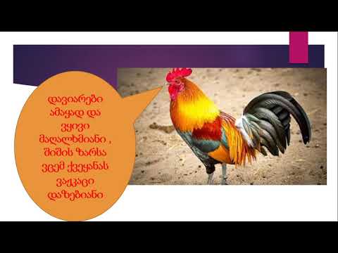 მკვეხარა მამალი