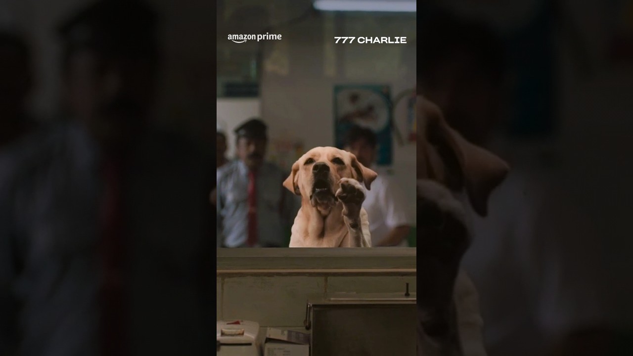 777 more reasons to watch 777 Charlie 🐕 | Rakshit Shetty | #primevideoindia