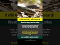 ये साँप मरने का नाटक करता है! 😱 सच जानकर हैरान रह जाओगे #shorts #viral #snake #snakefacts