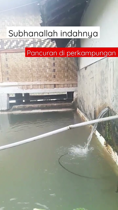 pancuran di lingkungan desa#adam88 chanel