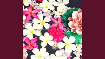 Artistic Koto and Strings - Vibe for Tranquil Sundays