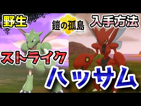 ソードシールド ストライクの種族値 わざ 特性など能力と入手方法 ポケモン剣盾 攻略大百科