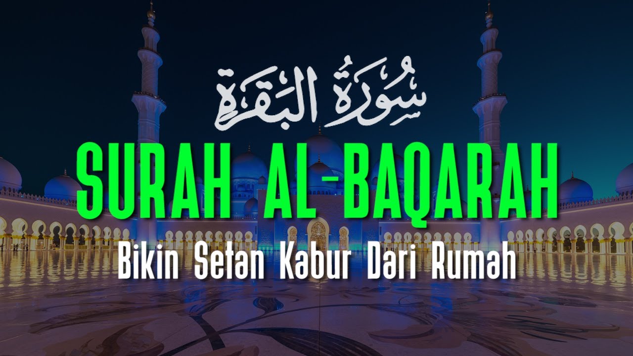 Surah Al Baqarah سورة البقرة With a Beautiful Voice Makes the Heart Calm | Ahmad Al Shalabi