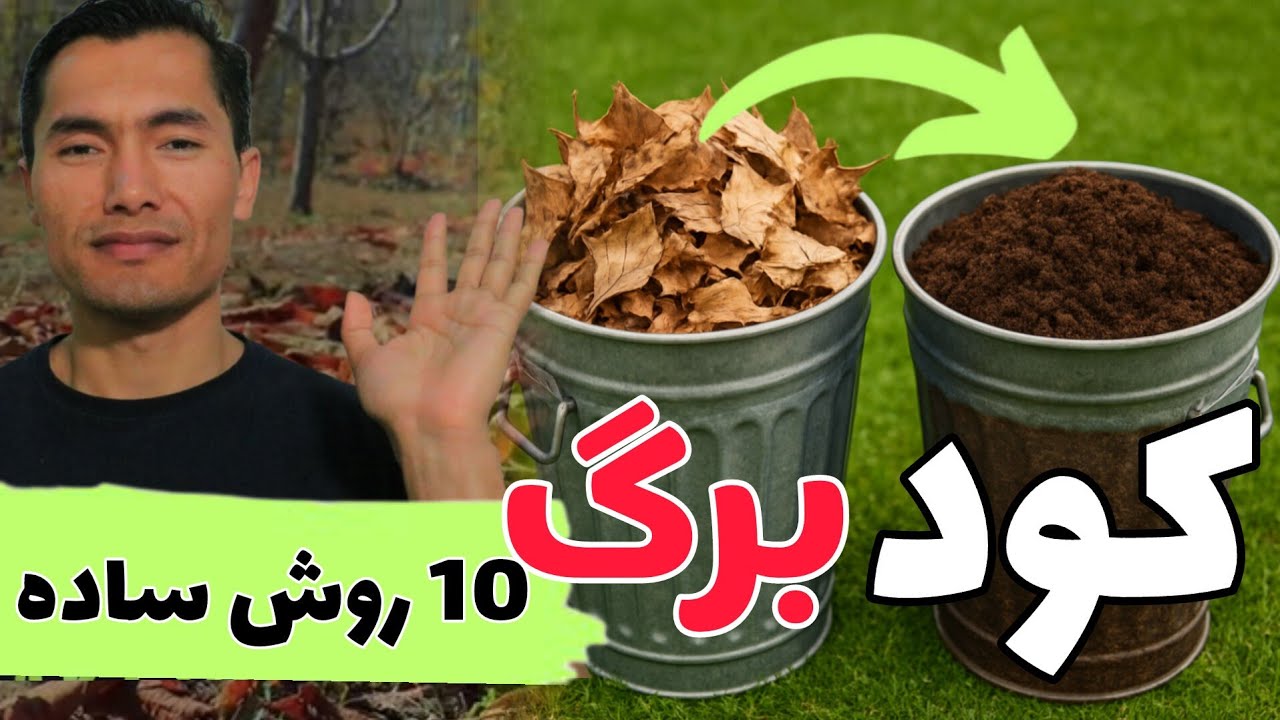 10 روش تولید کود از برگ: با این روش ها قدرتمند ترین کود خانگی تولید کن