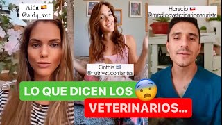 ¿SABES lo que DEBE COMER TU PERRO? Estos VETERINARIOS nos lo cuentan ✅