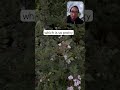 Read the description of this video by clickin the 3 dots 🙏 . The new year is now! #springtime